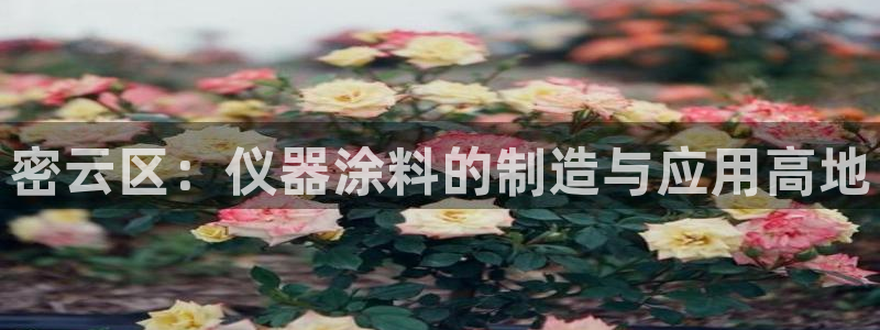 恒行2周74OOO5：密云区：仪器涂料的制造与应用高地