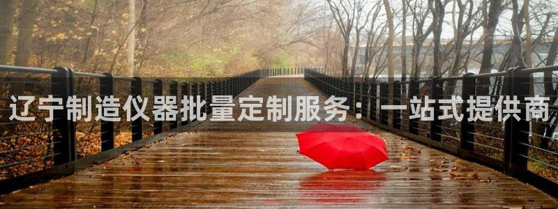 恒行娱乐吕74OOO5：辽宁制造仪器批量定制服务：一站式提供