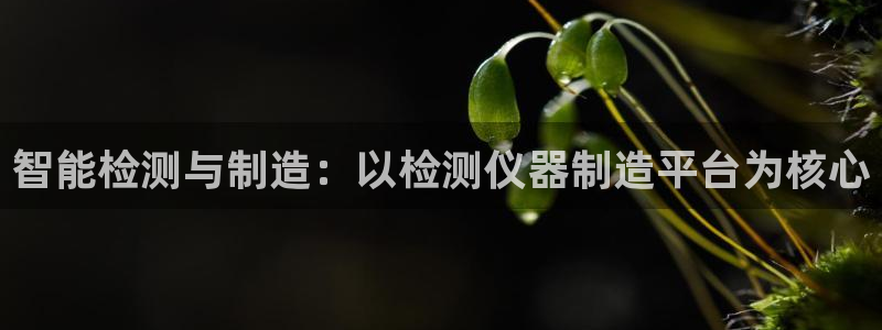 恒行2郑74OOO5：智能检测与制造：以检测仪器制造平台为核