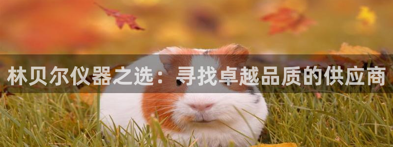 恒行娱乐河沂74ooo5程：林贝尔仪器之选：寻找卓越品质的供