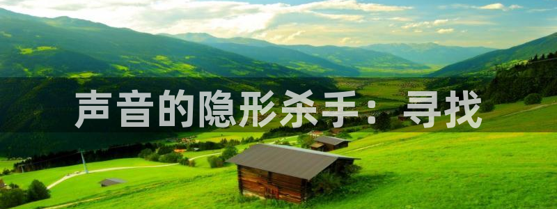 恒行娱乐登录5ll533主管一流：声音的隐形杀手：寻找