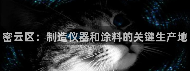 恒行娱乐景74ooo5诿抢：密云区：制造仪器和涂料的关键生产