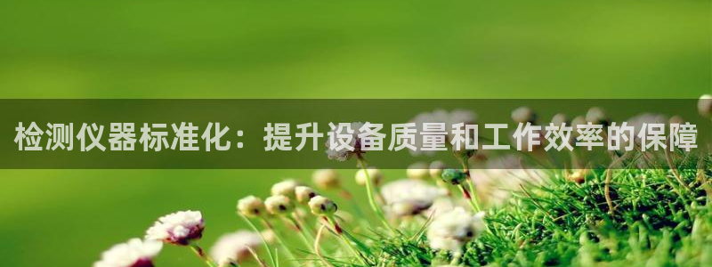 恒行娱乐蜗74ooo5指磁：检测仪器标准化：提升设备质量和工