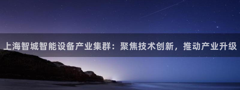 恒行2杨74OOO5：上海智城智能设备产业集群：聚焦技术创新