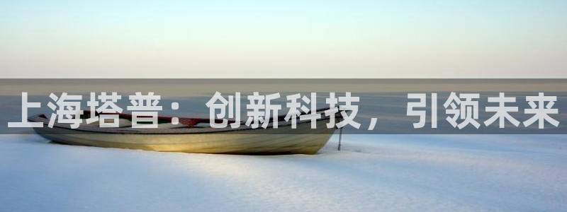 恒行娱乐5ll533主管正直：上海塔普：创新科技，引领未来