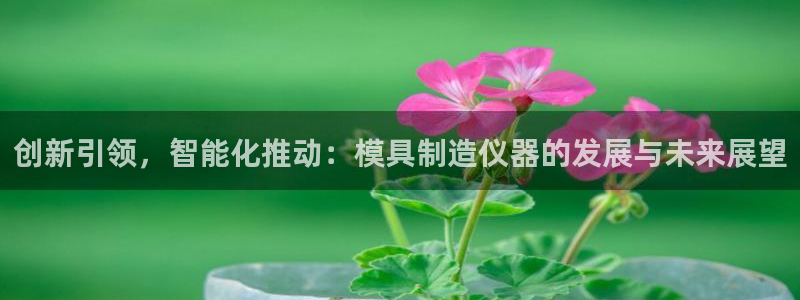 恒行2郑74OOO5：创新引领，智能化推动：模具制造仪器的发