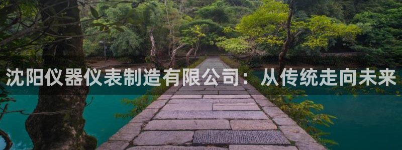 恒行2那74OO5：沈阳仪器仪表制造有限公司：从传统走向未来