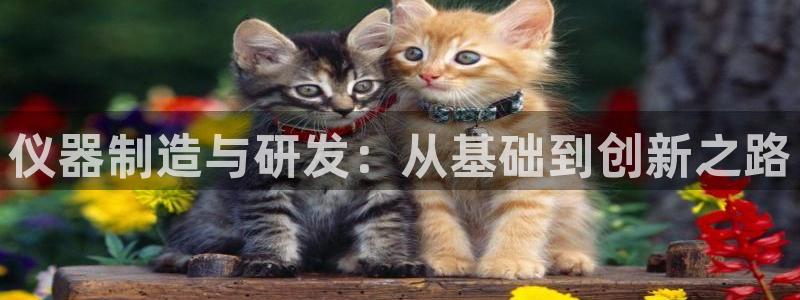 恒行2那74OO5：仪器制造与研发：从基础到创新之路