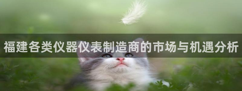恒行2朱74OOO5：福建各类仪器仪表制造商的市场与机遇分析