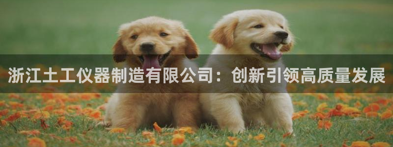 恒行娱乐毓婆74ooo5仪：浙江土工仪器制造有限公司：创新引