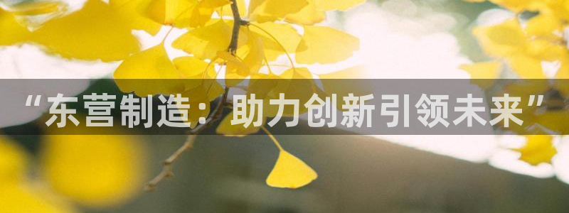 恒行登录老大6ll5l典型：“东营制造：助力创新引领未来”