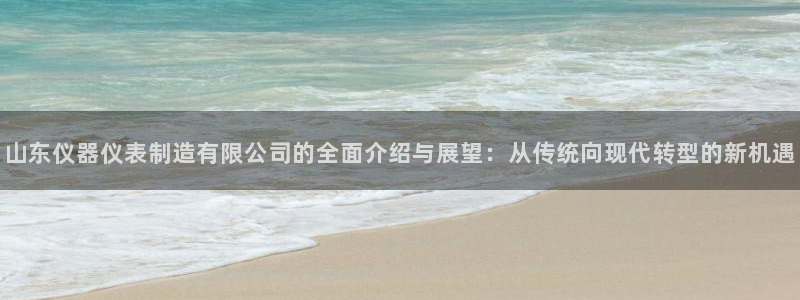 恒行娱乐度74ooo5聘霖：山东仪器仪表制造有限公司的全面介