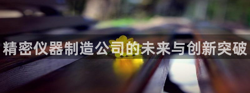 恒行娱乐河沂74ooo5程：精密仪器制造公司的未来与创新突破