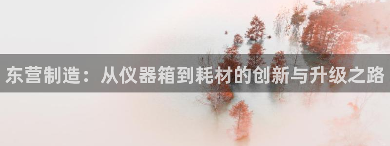 恒行娱乐5ll533主管正直：东营制造：从仪器箱到耗材的创新