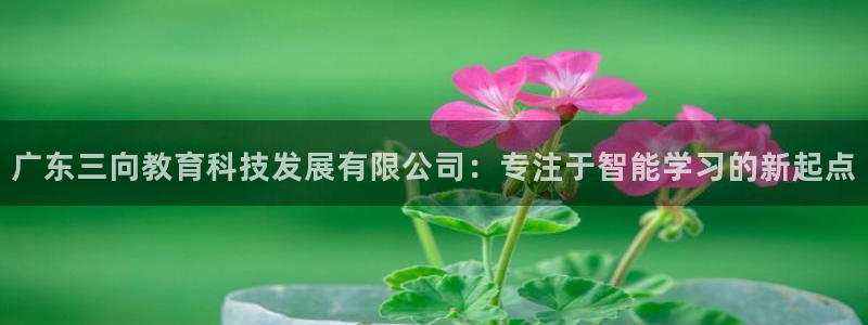 恒行娱乐吴74OOO5：广东三向教育科技发展有限公司：专注于