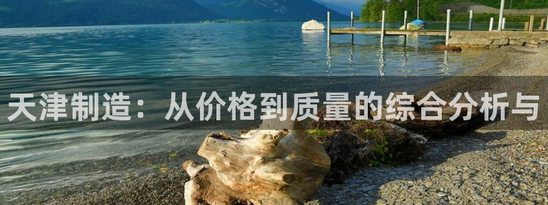恒行2朱74OOO5：天津制造：从价格到质量的综合分析与