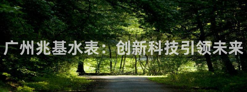 恒行娱乐吴74OOO5：广州兆基水表：创新科技引领未来