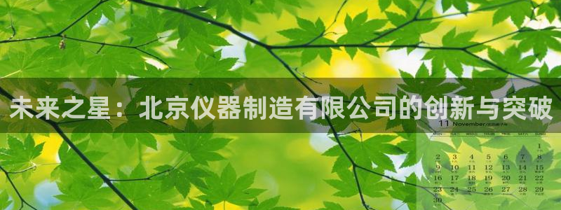 恒行2沈74OOO5：未来之星：北京仪器制造有限公司的创新与