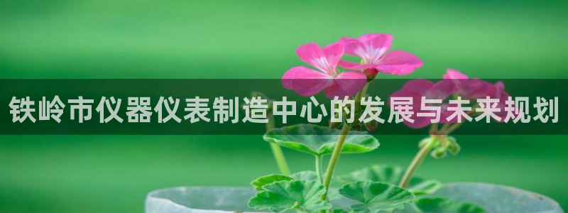 恒行2朱74OOO5：铁岭市仪器仪表制造中心的发展与未来规划