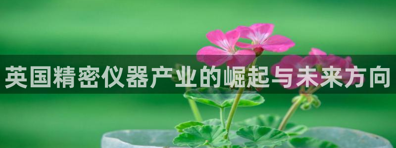 恒行娱乐见5ll533主管：英国精密仪器产业的崛起与未来方向