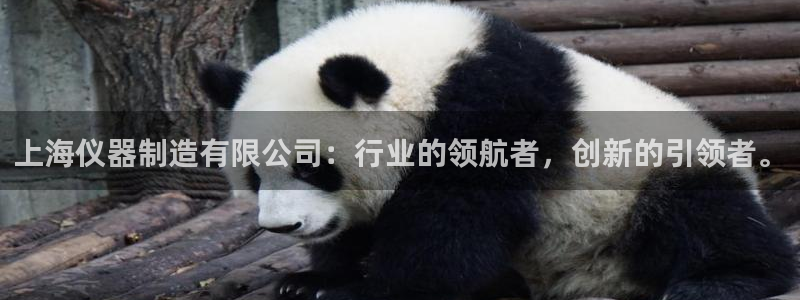 恒行登录老大6ll5l典型：上海仪器制造有限公司：行业的领航