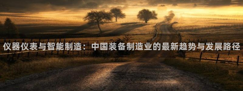 恒行2蒋74OOO5：仪器仪表与智能制造：中国装备制造业的最