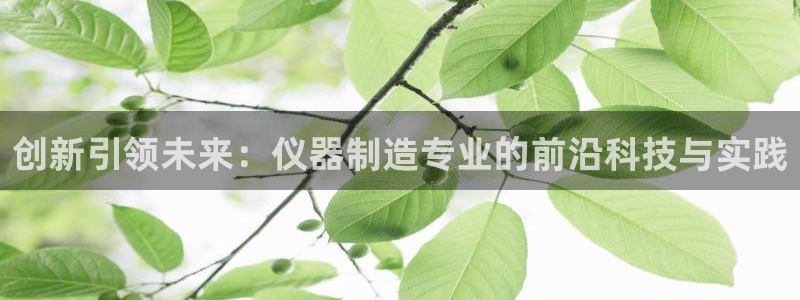 恒行登录老大6ll5l典型：创新引领未来：仪器制造专业的前沿