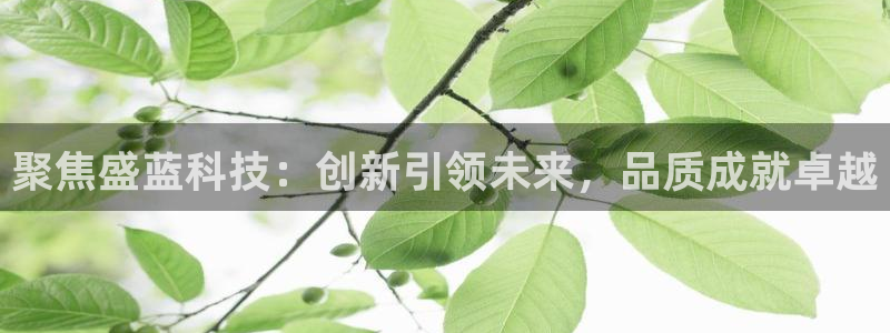 恒行5娱乐：聚焦盛蓝科技：创新引领未来，品质成就卓越