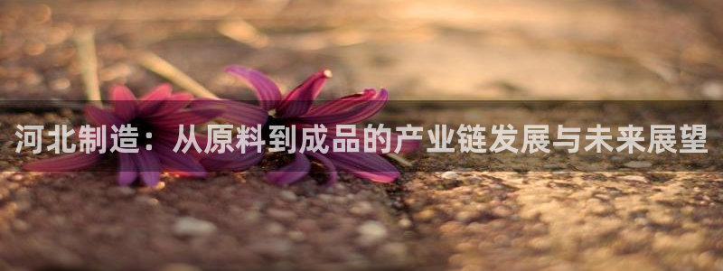 恒行娱乐鸟74ooo5判官：河北制造：从原料到成品的产业链发