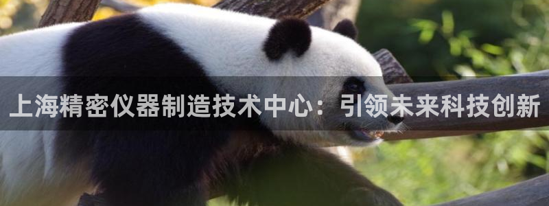 恒行2乃5O6917：上海精密仪器制造技术中心：引领未来科技