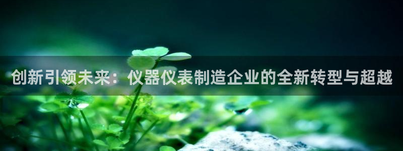 恒行2蒋74OOO5：创新引领未来：仪器仪表制造企业的全新转