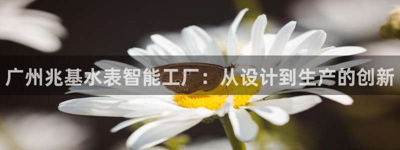 恒行娱乐掌74ooo5呀蚕：广州兆基水表智能工厂：从设计到生